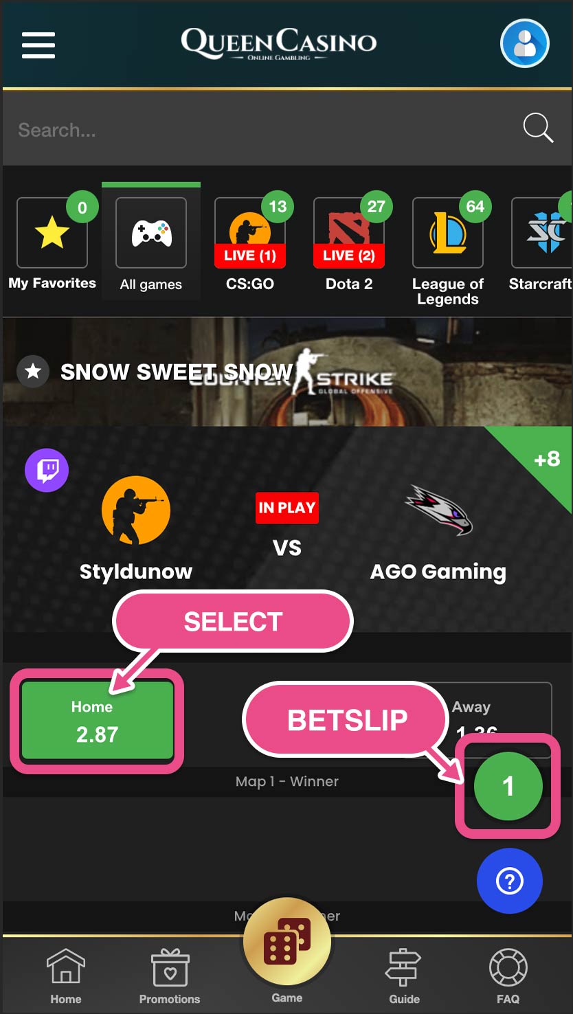 Bet slip/Open bet/settings - クイーンカジノの遊び方ガイド