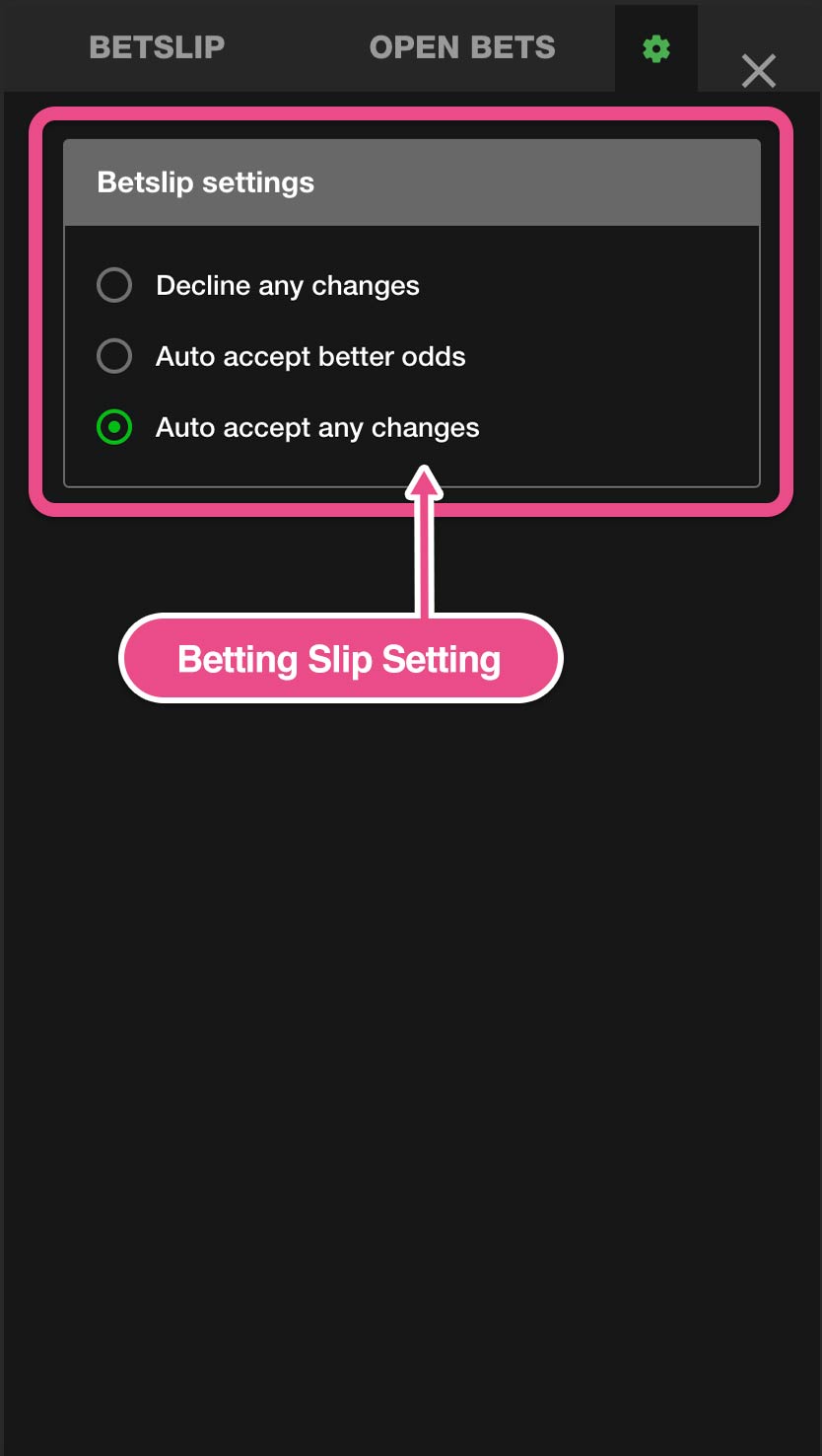 Betslip/Open bet/settings - クイーンカジノの遊び方ガイド