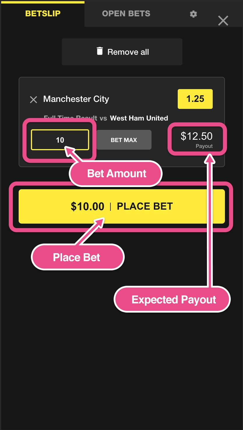 Bet slip/Open bet/settings - クイーンカジノの遊び方ガイド